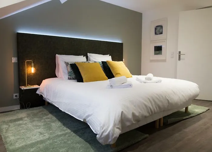 Luxueux Logement Bourgeois De 250 M2 Climatise